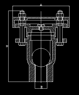 الصورة 11